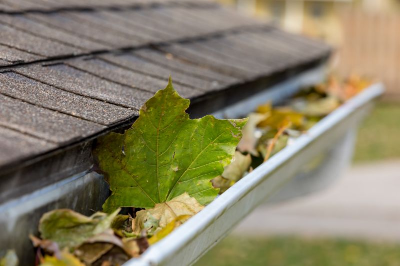 Gutter and Downspout Maintenance