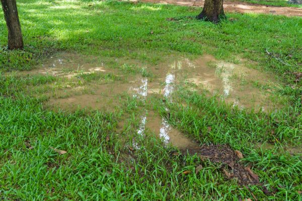 Cost of Storm Water Drainage Service in Coeur D Alene