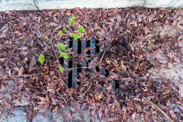 Cost of Yard Drain Unclogging in Coeur D Alene