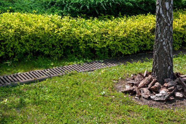 Cost of Residential Landscape Drainage in Coeur D Alene