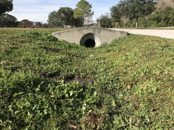 Cost of Swale Drainage Service in Coeur D Alene